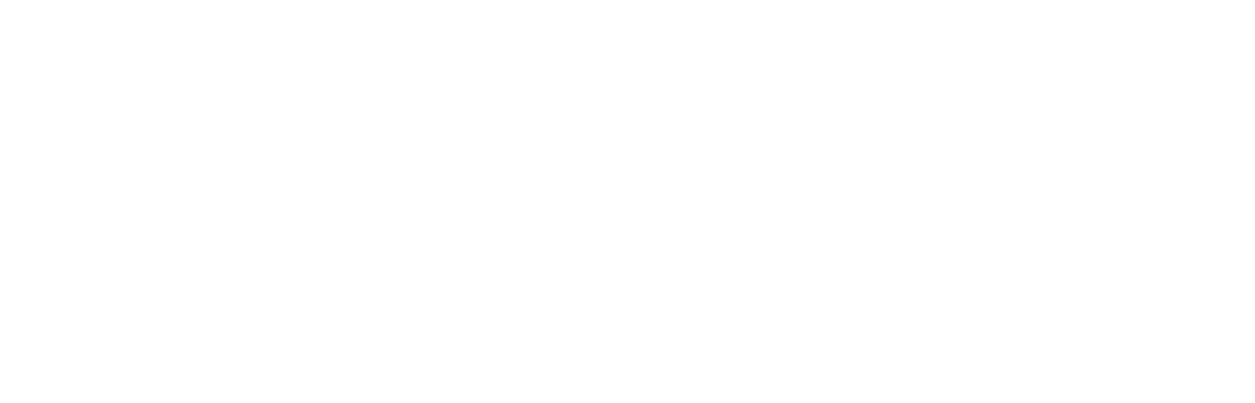 eaglenet-logo